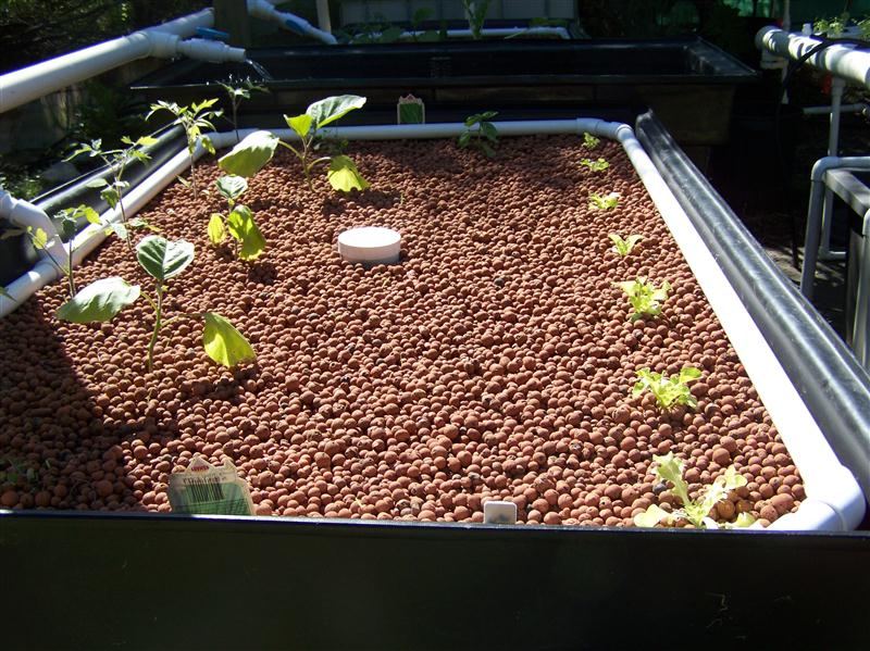 100_6833 (Custom).JPG