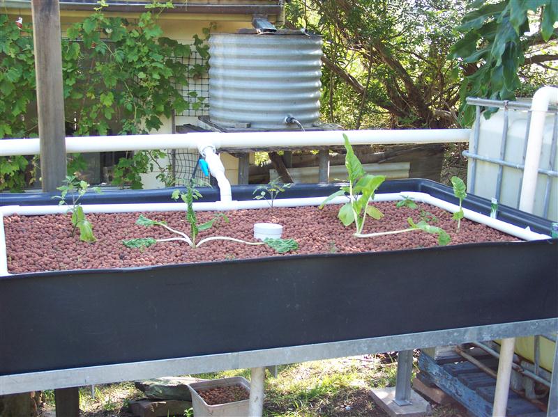 100_6834 (Custom).JPG