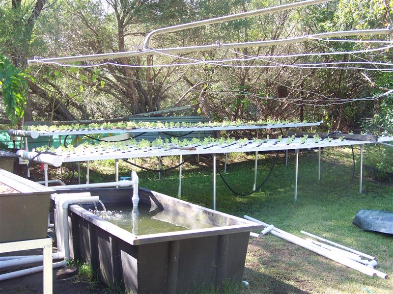 100_6831 (Custom).JPG