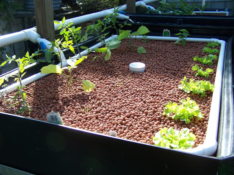 100_6855 (Custom).JPG