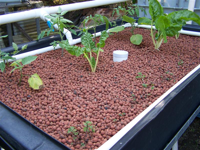 100_6856 (Custom).JPG