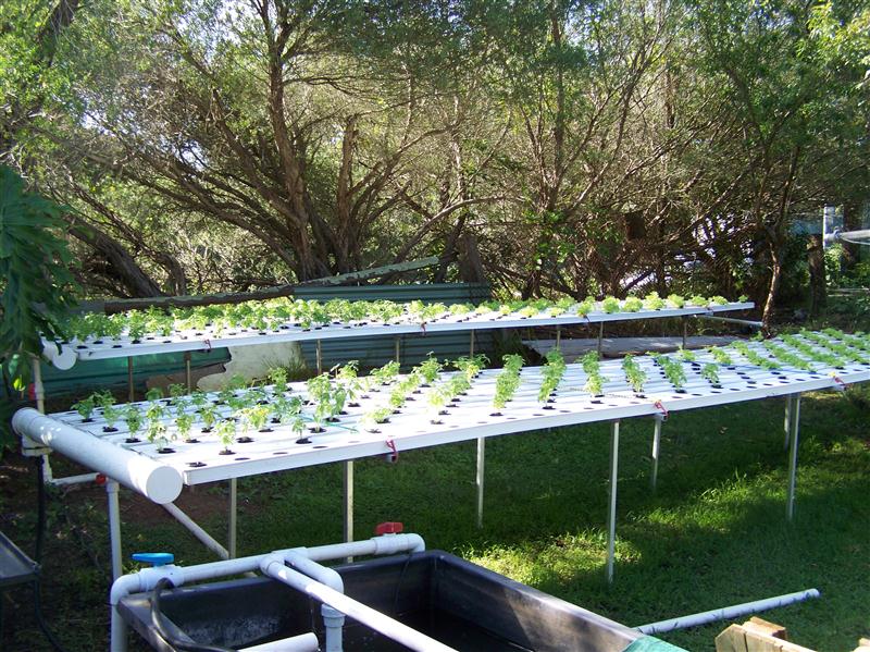 100_6863 (Custom).JPG