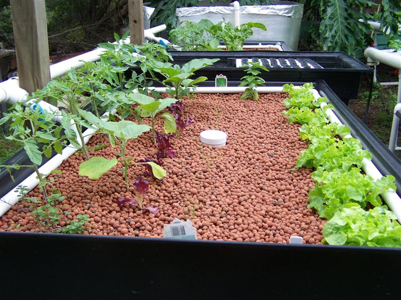 100_6889 (Custom).JPG