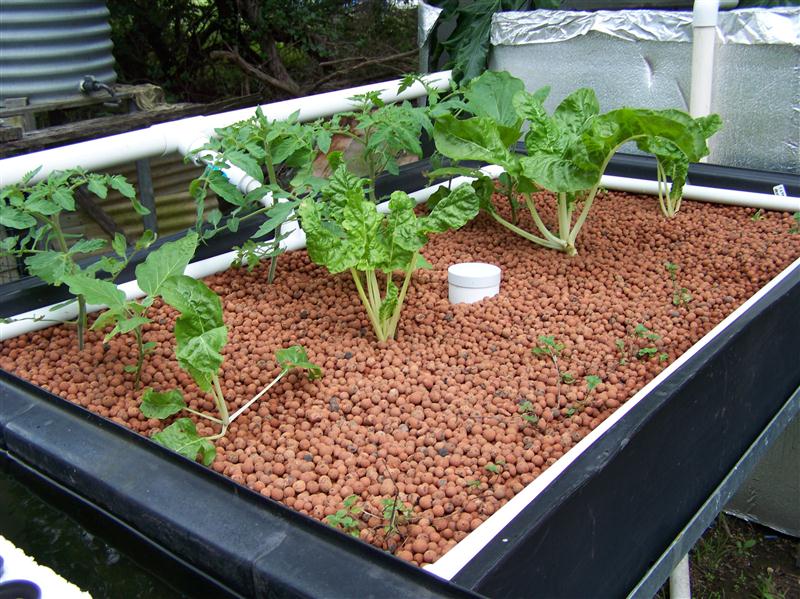 100_6890 (Custom).JPG