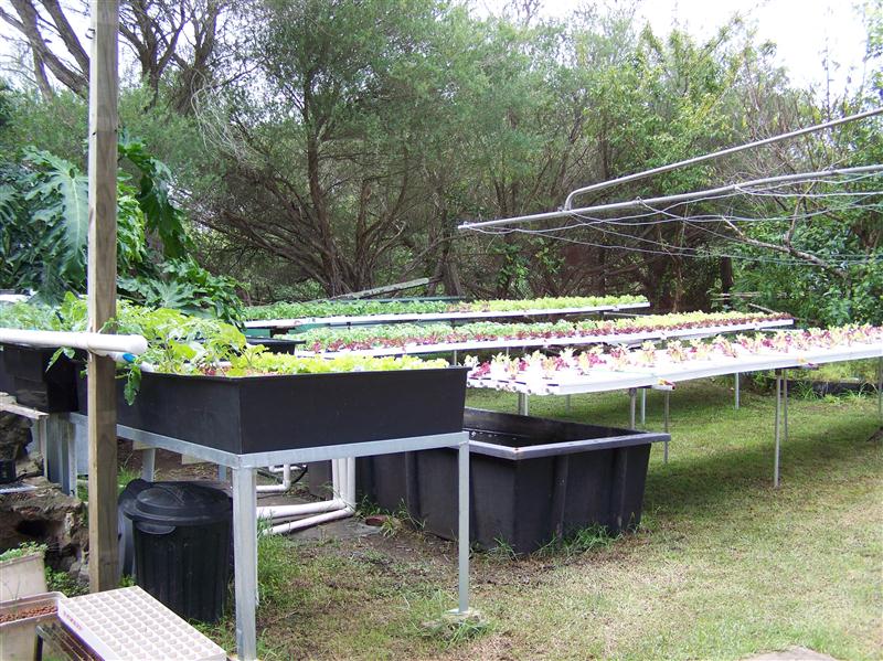 100_6898 (Custom).JPG