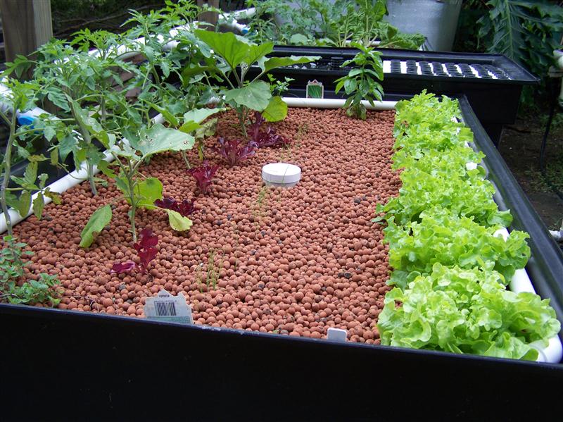 100_6900 (Custom).JPG