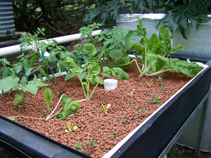 100_6901 (Custom).JPG