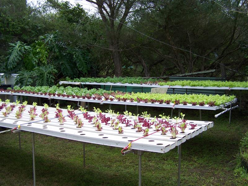 100_6902 (Custom).JPG