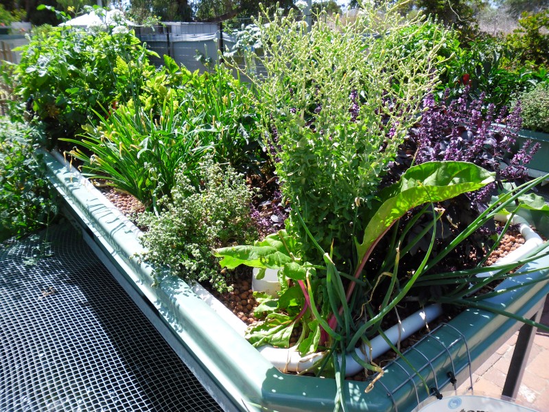 SAM_0002 (Custom).JPG