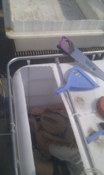 meinFT (Custom) (Custom).jpg