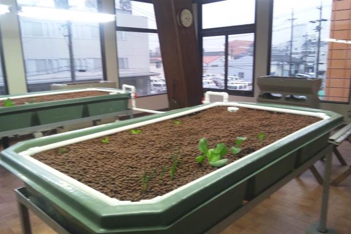 DSC_0496[1] (Small).JPG