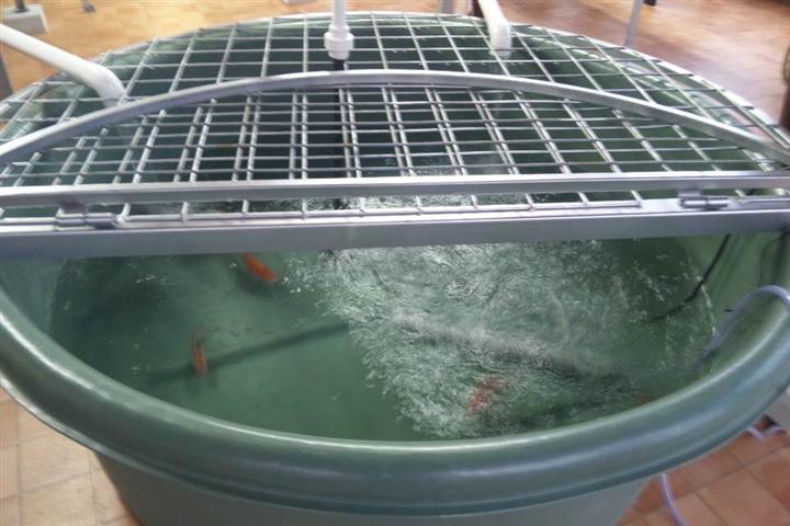 DSC_0498[1] (Small).JPG