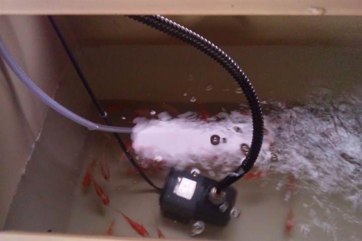 DSC_0499[1] (Small).JPG