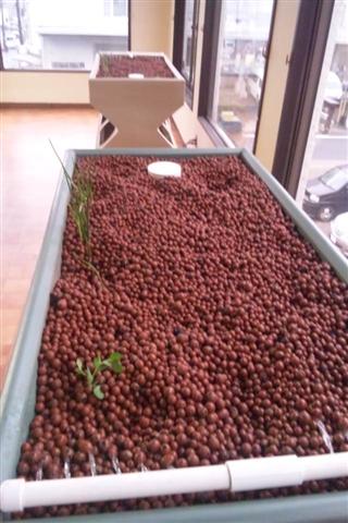 DSC_0504[1] (Small) (2).JPG