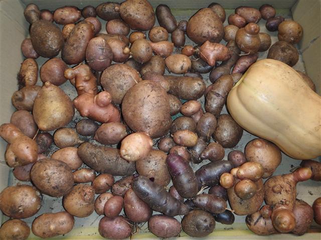 P3100491 (Small).JPG