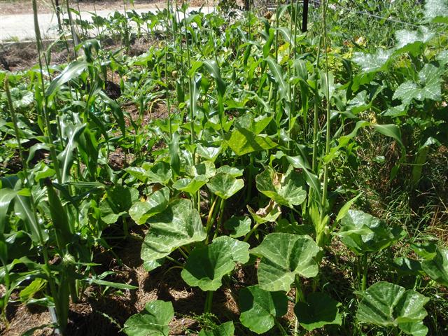 P3100496 (Small).JPG