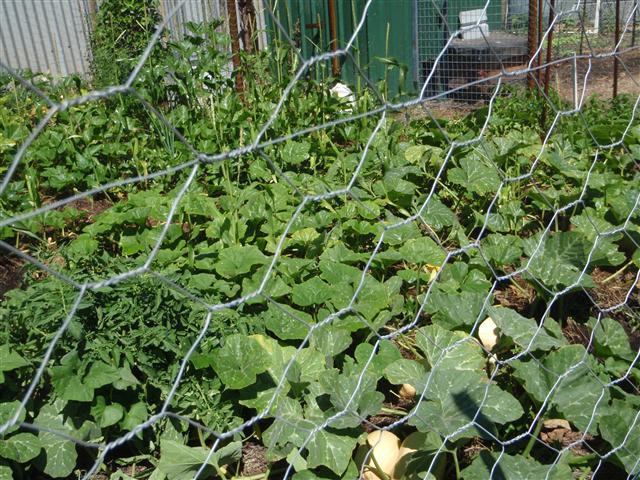 P3100495 (Small).JPG