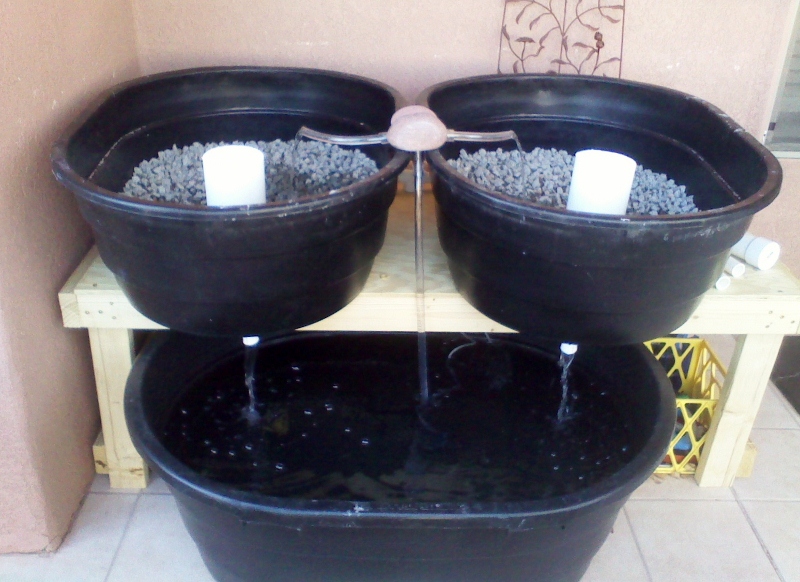 Aquaponics (800x582).jpg