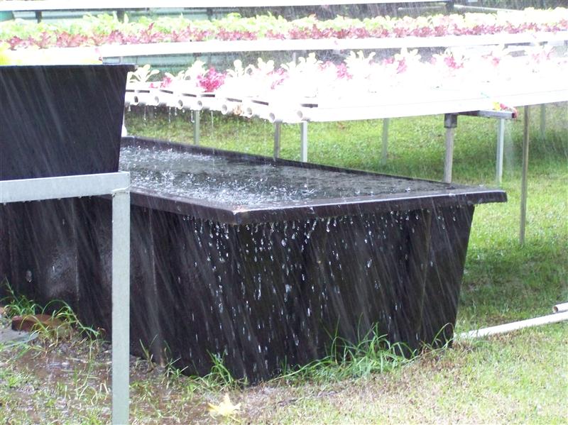 100_6908 (Custom).JPG