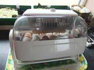 incubator.JPG