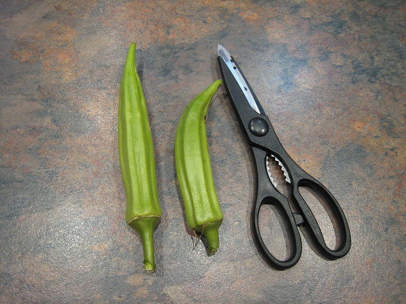 1  Okra harvested around 6_3_2012.jpg