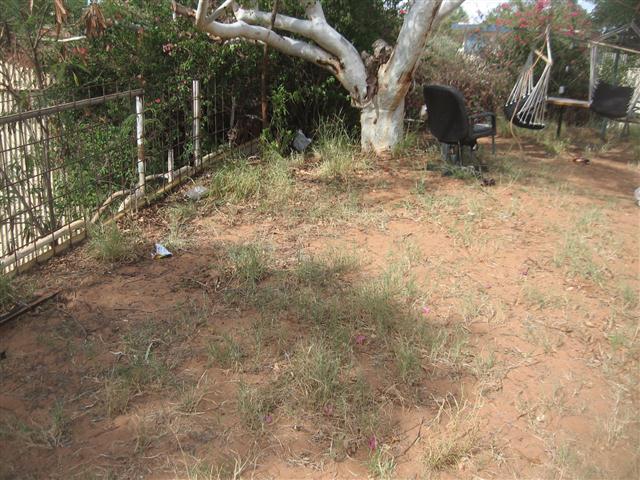 TODAY IS THE DAY 001 (Small).JPG