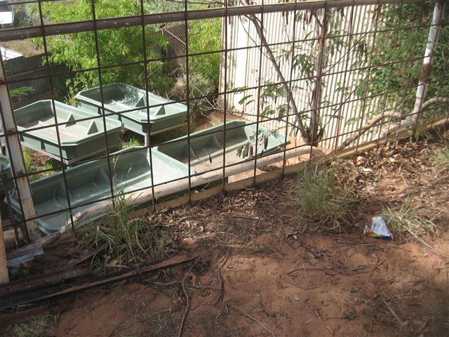 TODAY IS THE DAY 004 (Small).JPG