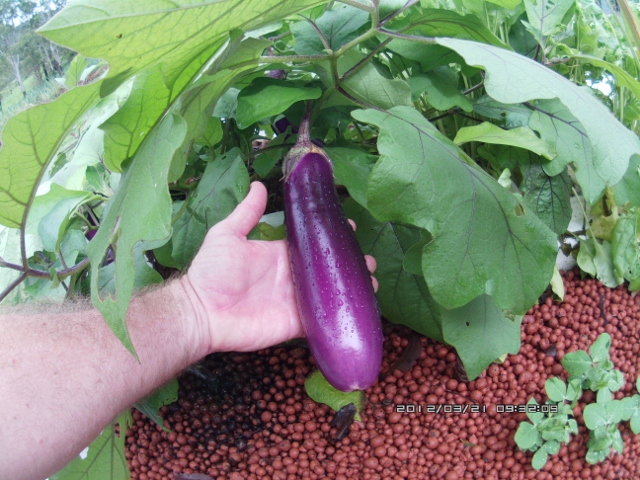 ATC_0061 (640x480).jpg