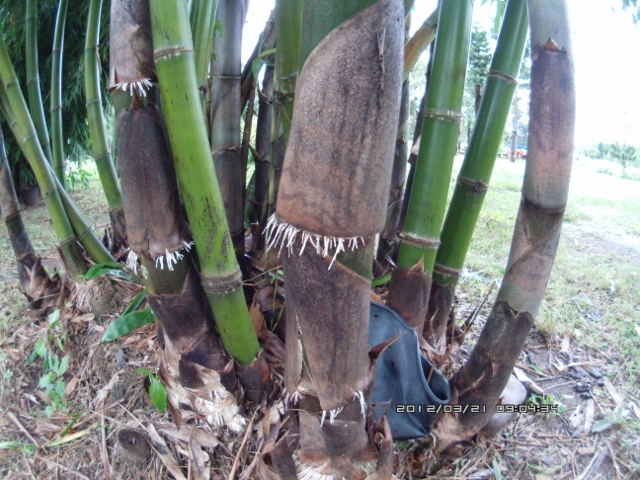 ATC_0031 (640x480).jpg