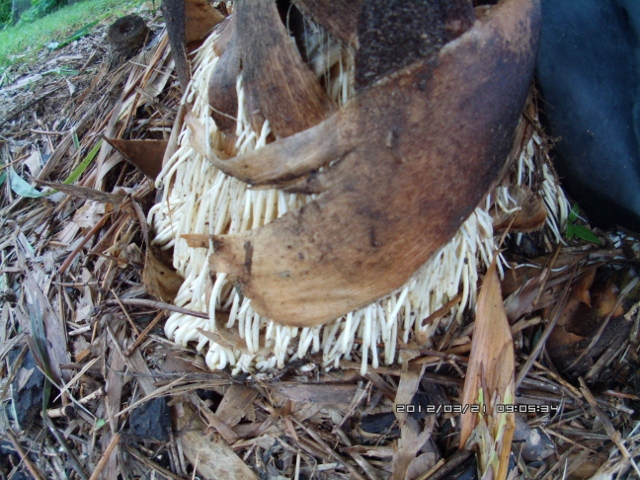 ATC_0035 (640x480).jpg