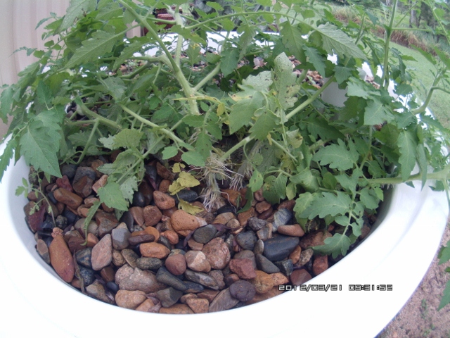 ATC_0060 (640x480).jpg