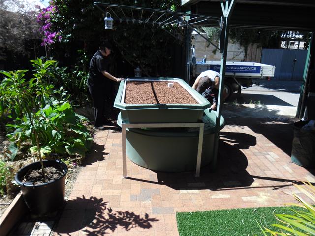 SAM_0044 (Small).JPG