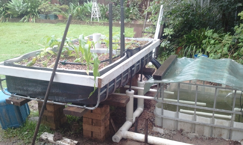 2012-03-23 07.35.04.jpg