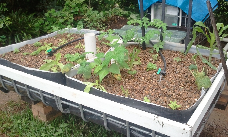 2012-03-23 07.35.18.jpg