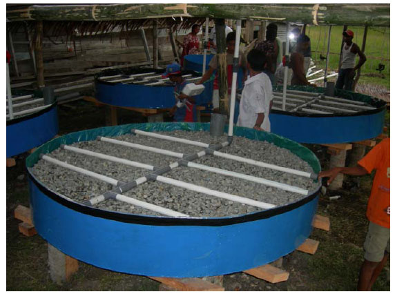 Untitled-16 copy.jpg