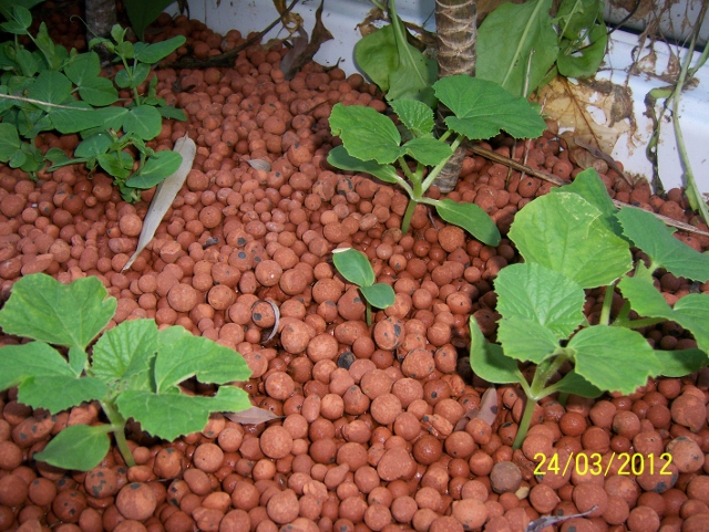 100_5755 (640x481).jpg