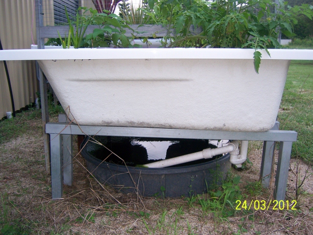 100_5759 (640x481).jpg