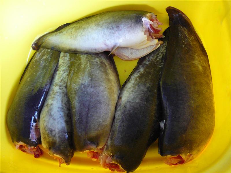 P1050761 (Custom).JPG