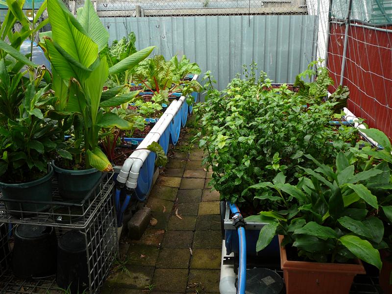 P1050763 (Custom).JPG