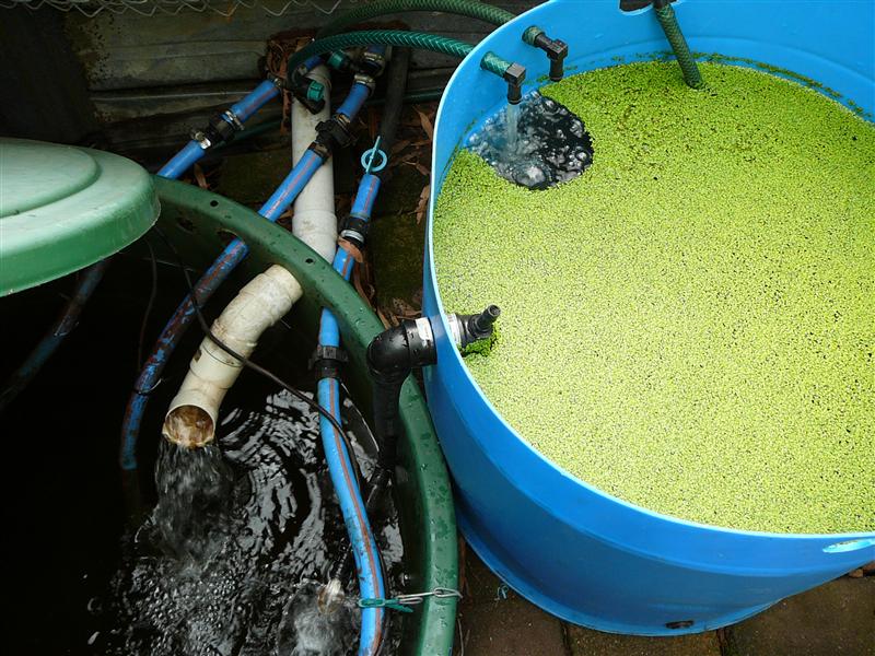 P1050773 (Custom).JPG