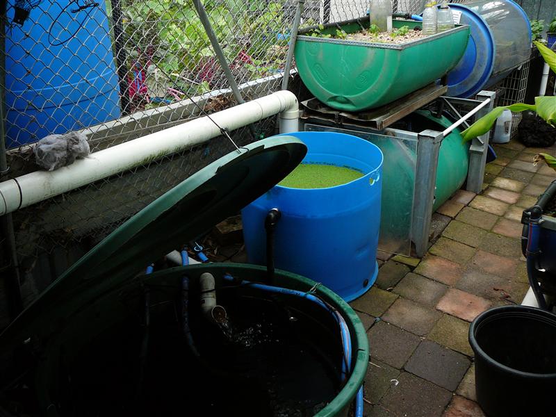 P1050767 (Custom).JPG