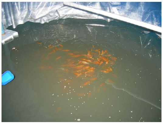 Untitled-22 copy.jpg