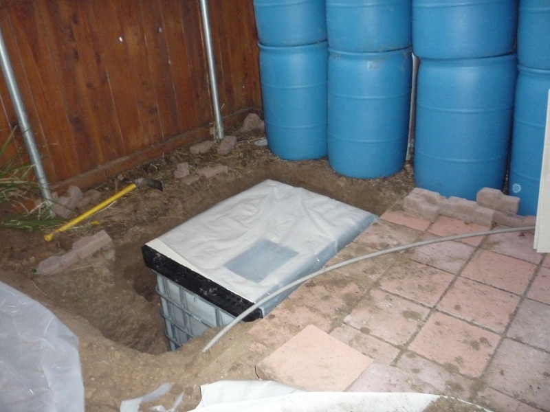 010 that 6 mil plastic that has kept the dirt from caving in the ibc.jpg