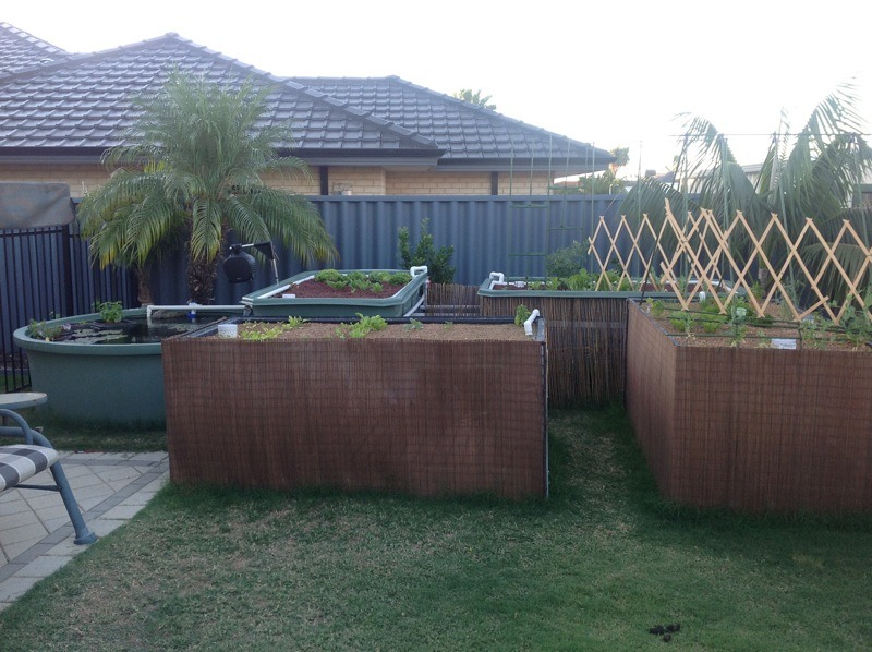 ImageUploadedByTapatalk HD1332758630.386806.jpg