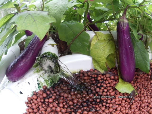 ATC_0063 (640x480).jpg