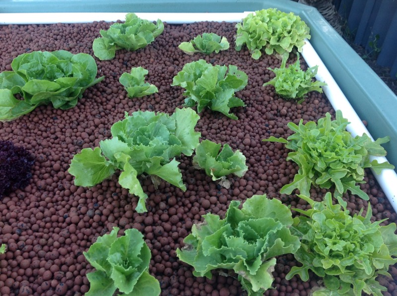 ImageUploadedByTapatalk HD1332758826.849231.jpg