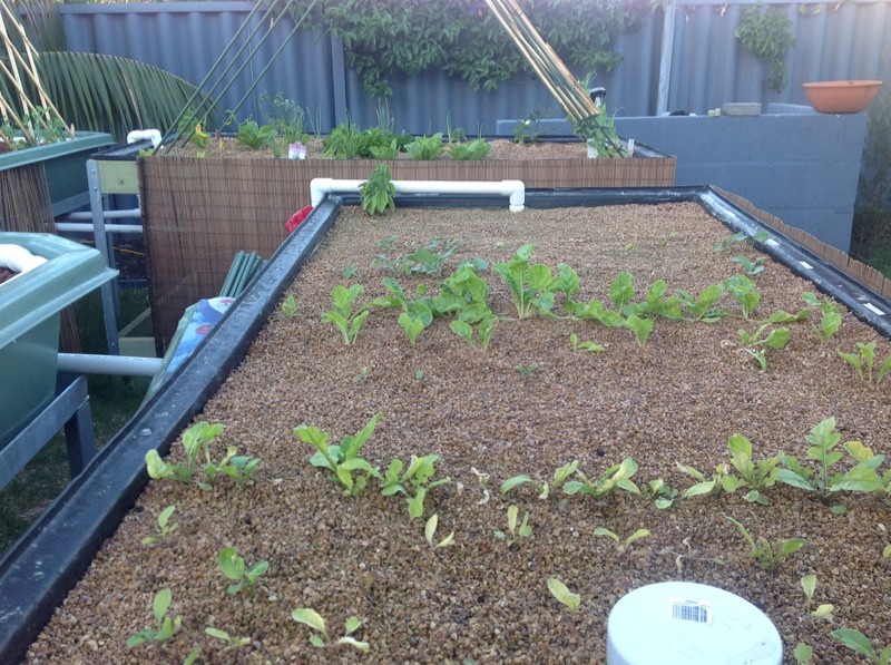 ImageUploadedByTapatalk HD1332758868.754158.jpg