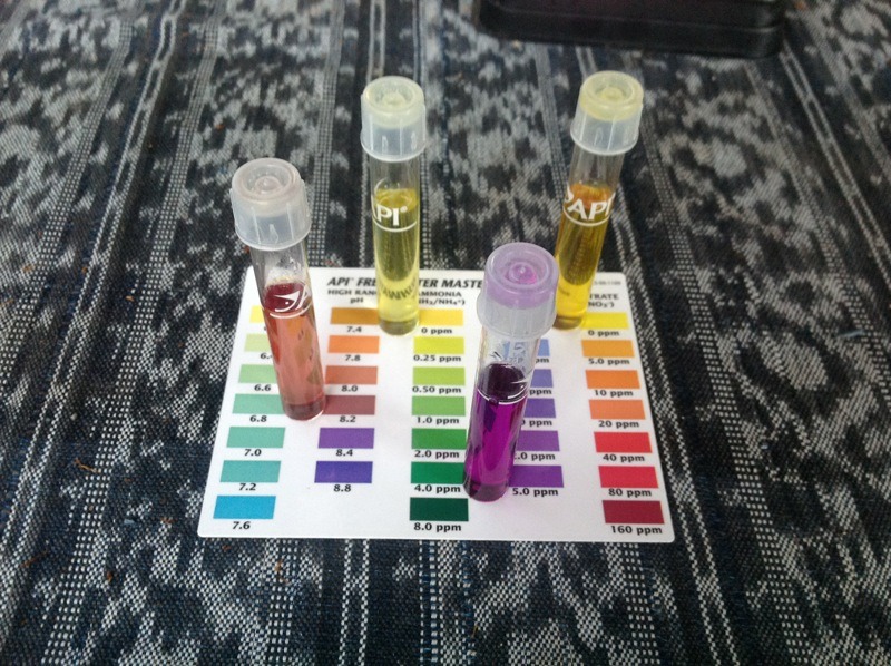 ImageUploadedByTapatalk HD1332758919.364850.jpg