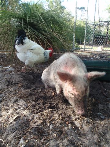 P3250592 (Small).JPG