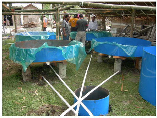 Untitled-10 copy.jpg